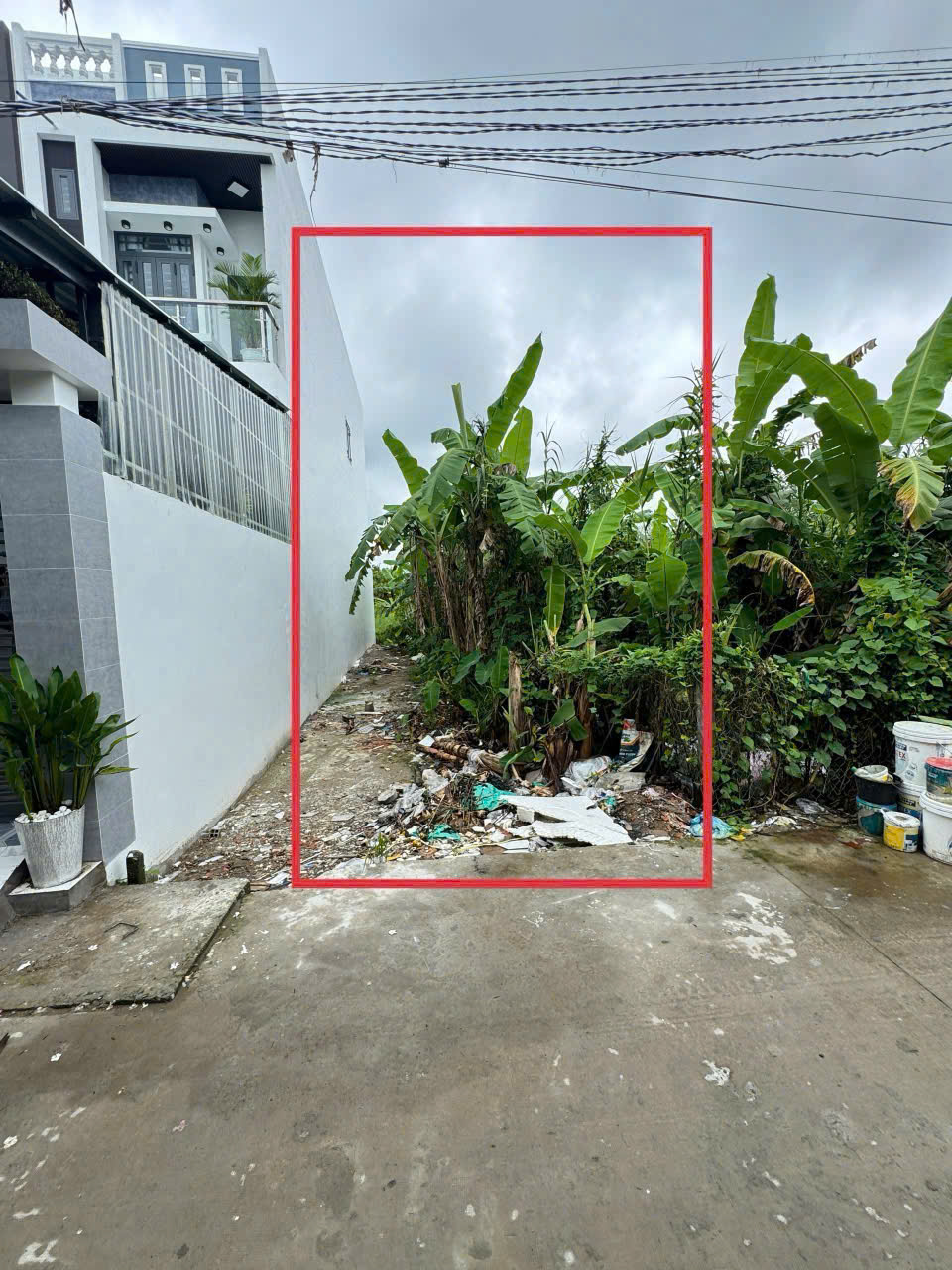 10802296777406438112