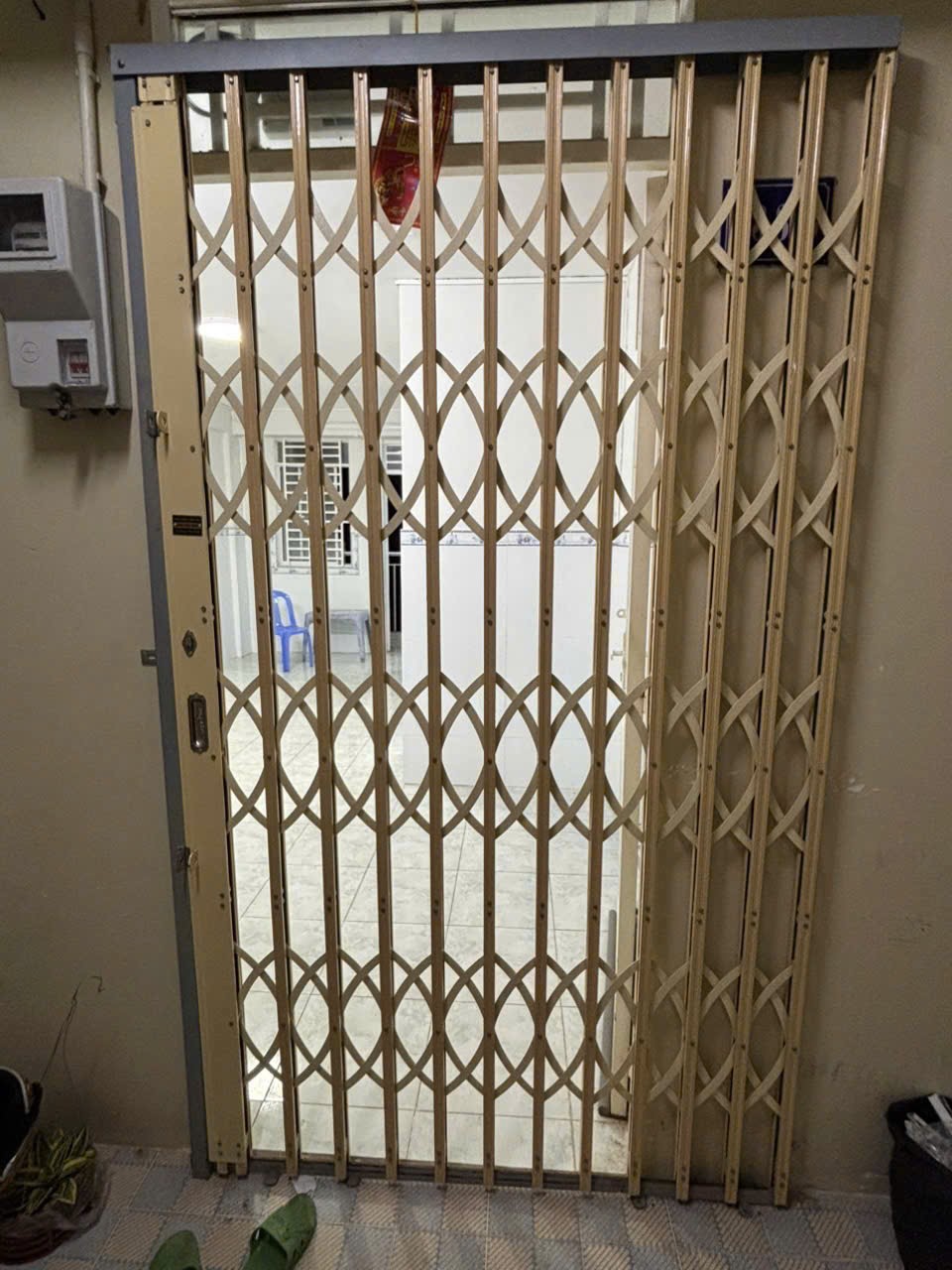 IMG_1755159493985_1761618612111