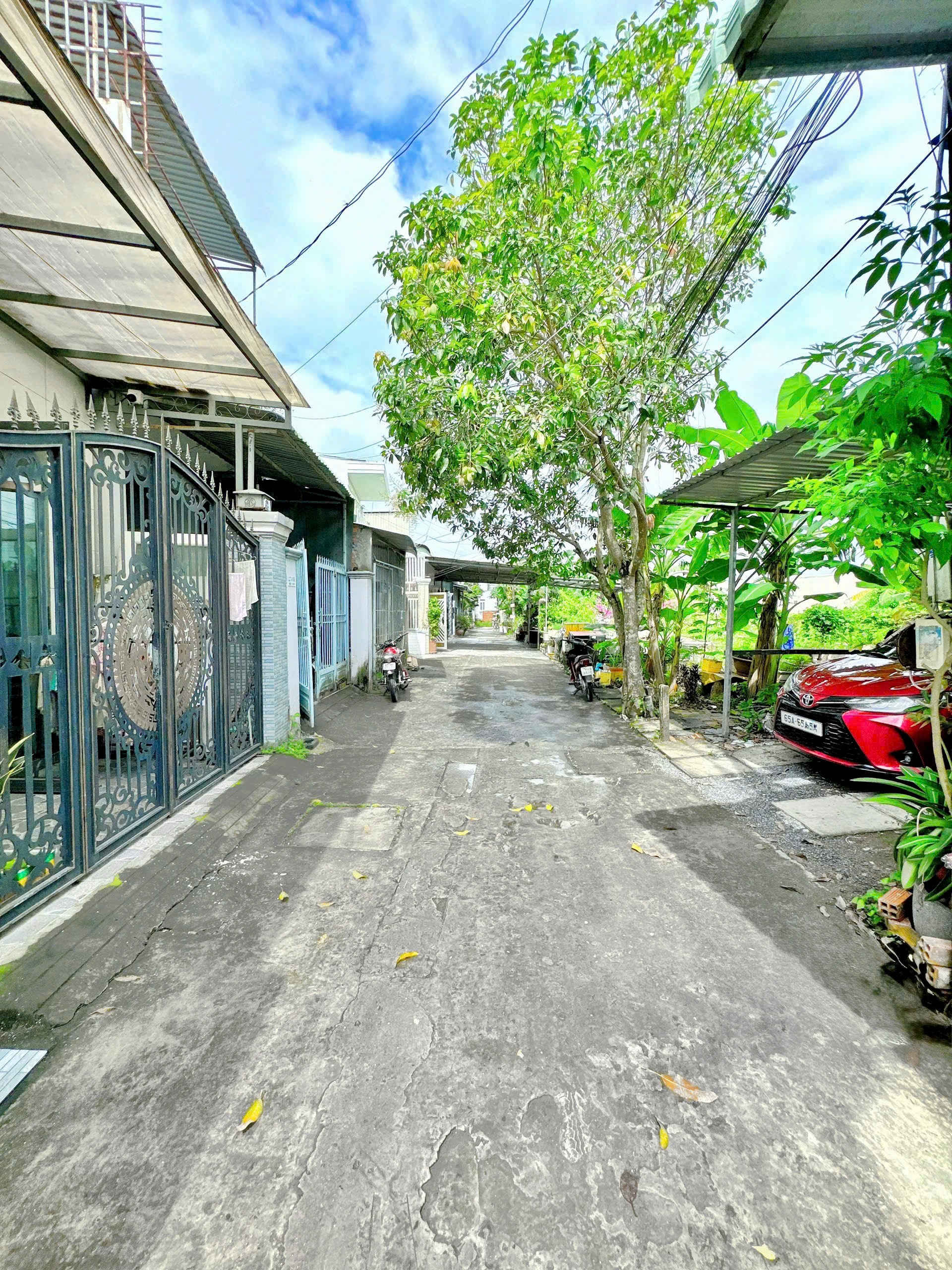 IMG_1761225019309_1761474470531