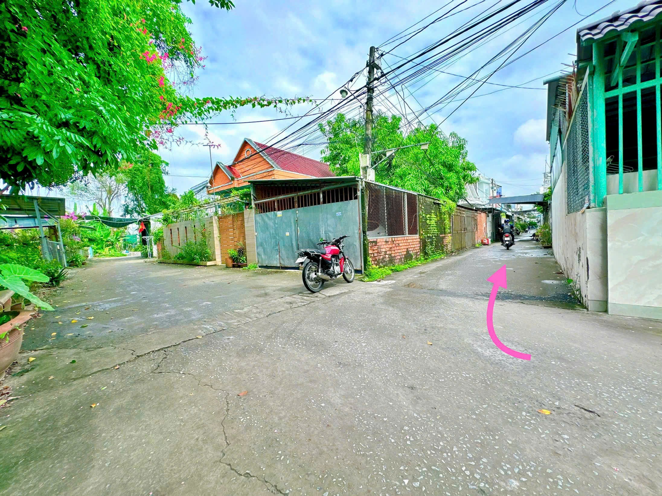 IMG_1761225019450_1761474473538