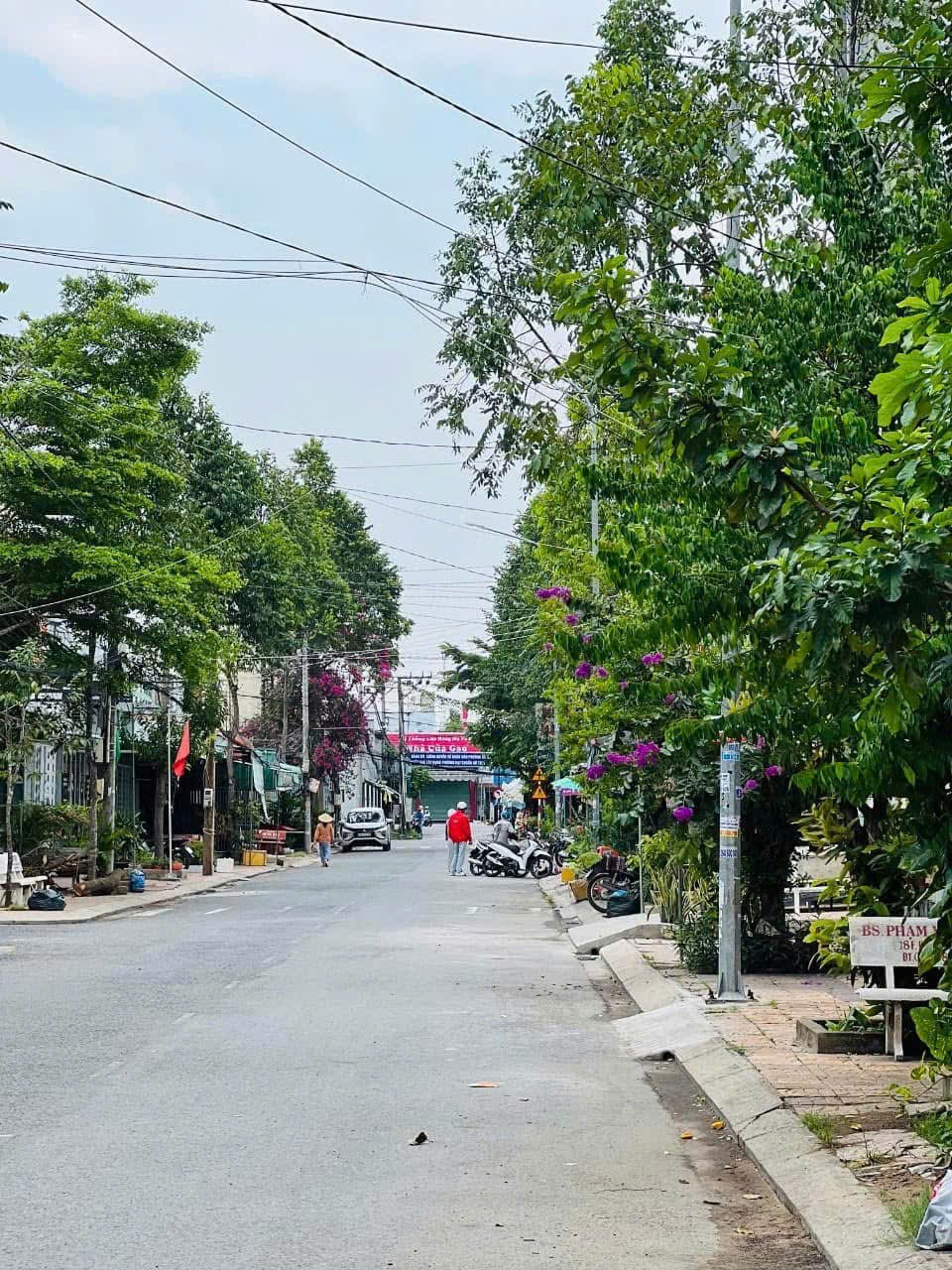 IMG_1761368996970_1761374396905