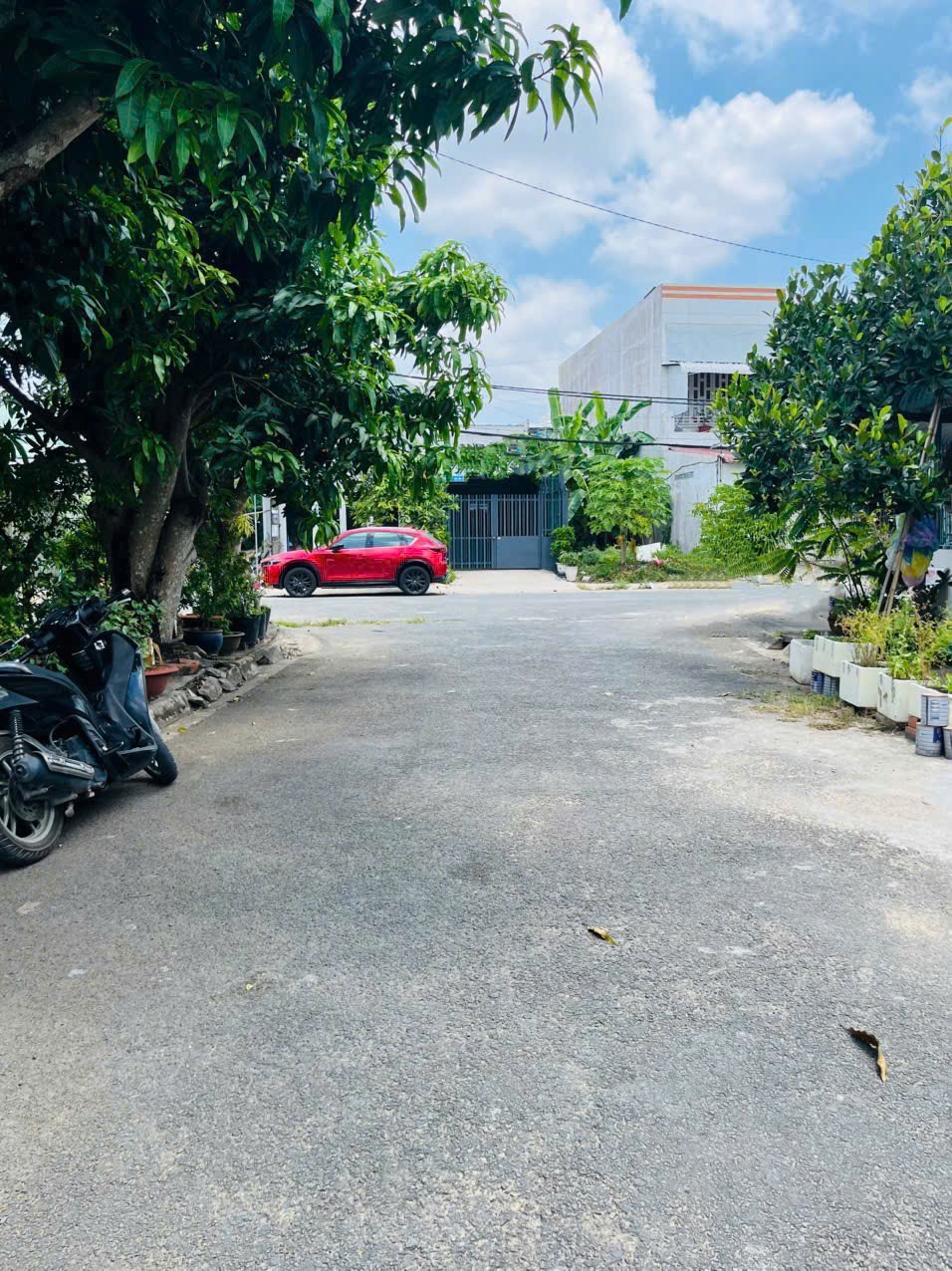 IMG_1761529425326_1761615670819