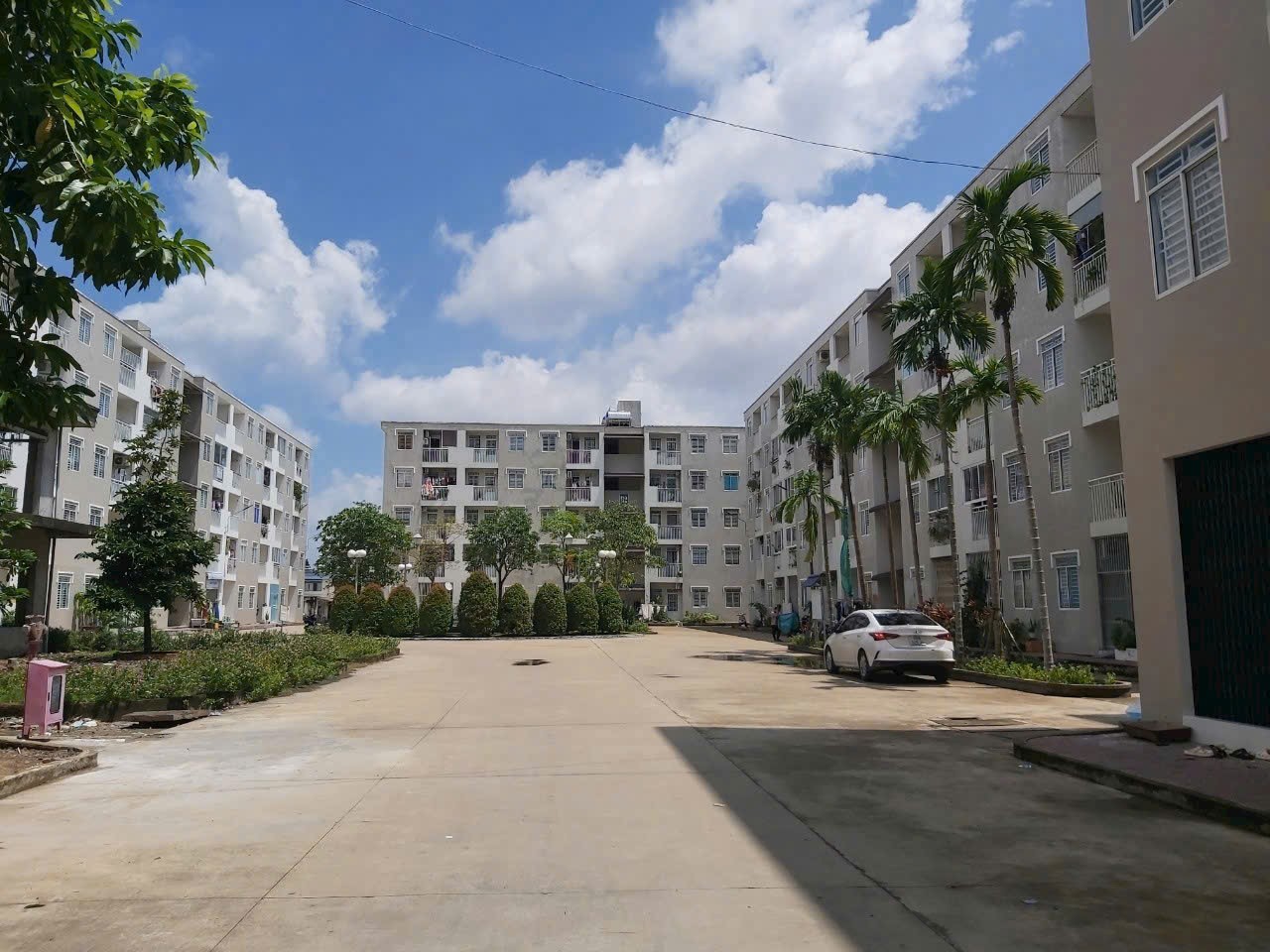 IMG_1761548321662_1761616715081