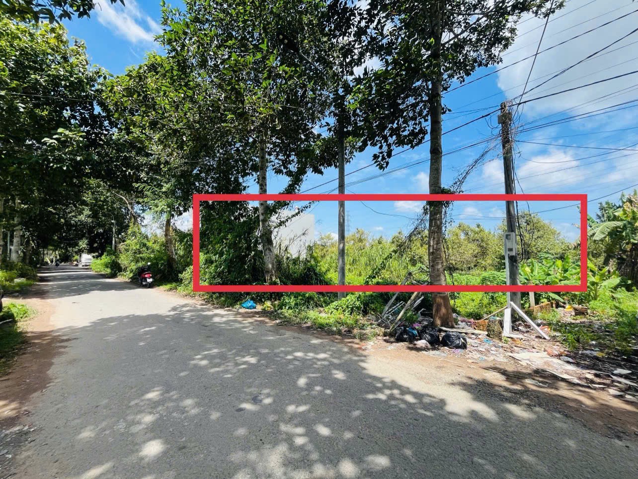 IMG_1761702094198_1761703963594