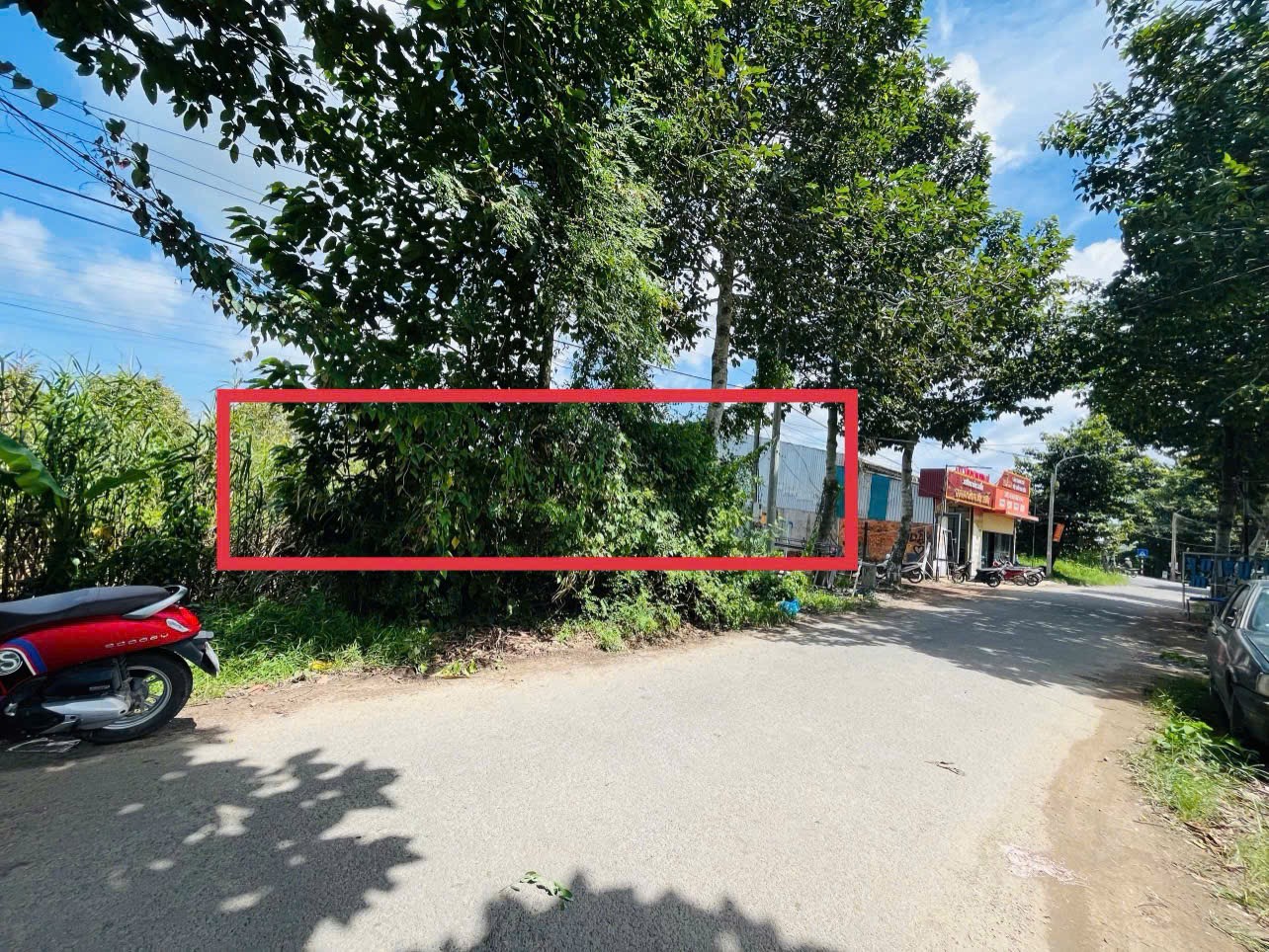 IMG_1761702094201_1761703963902