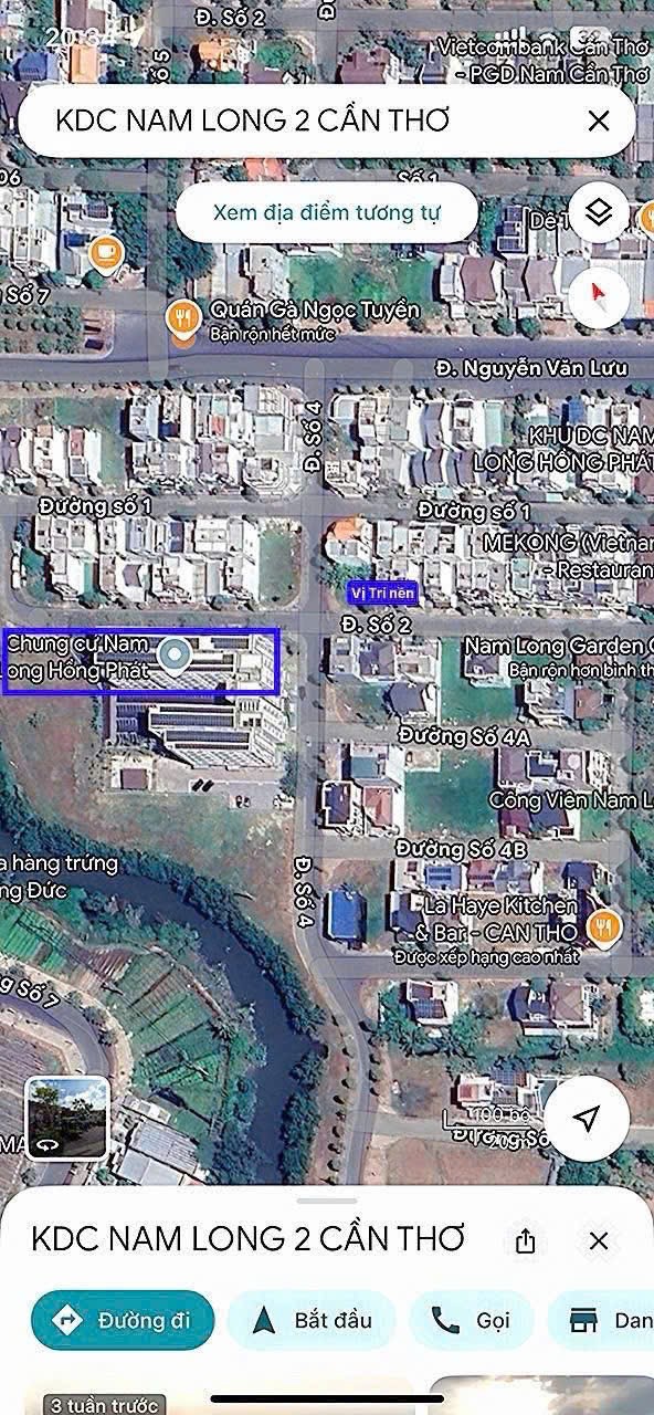 1000067696
