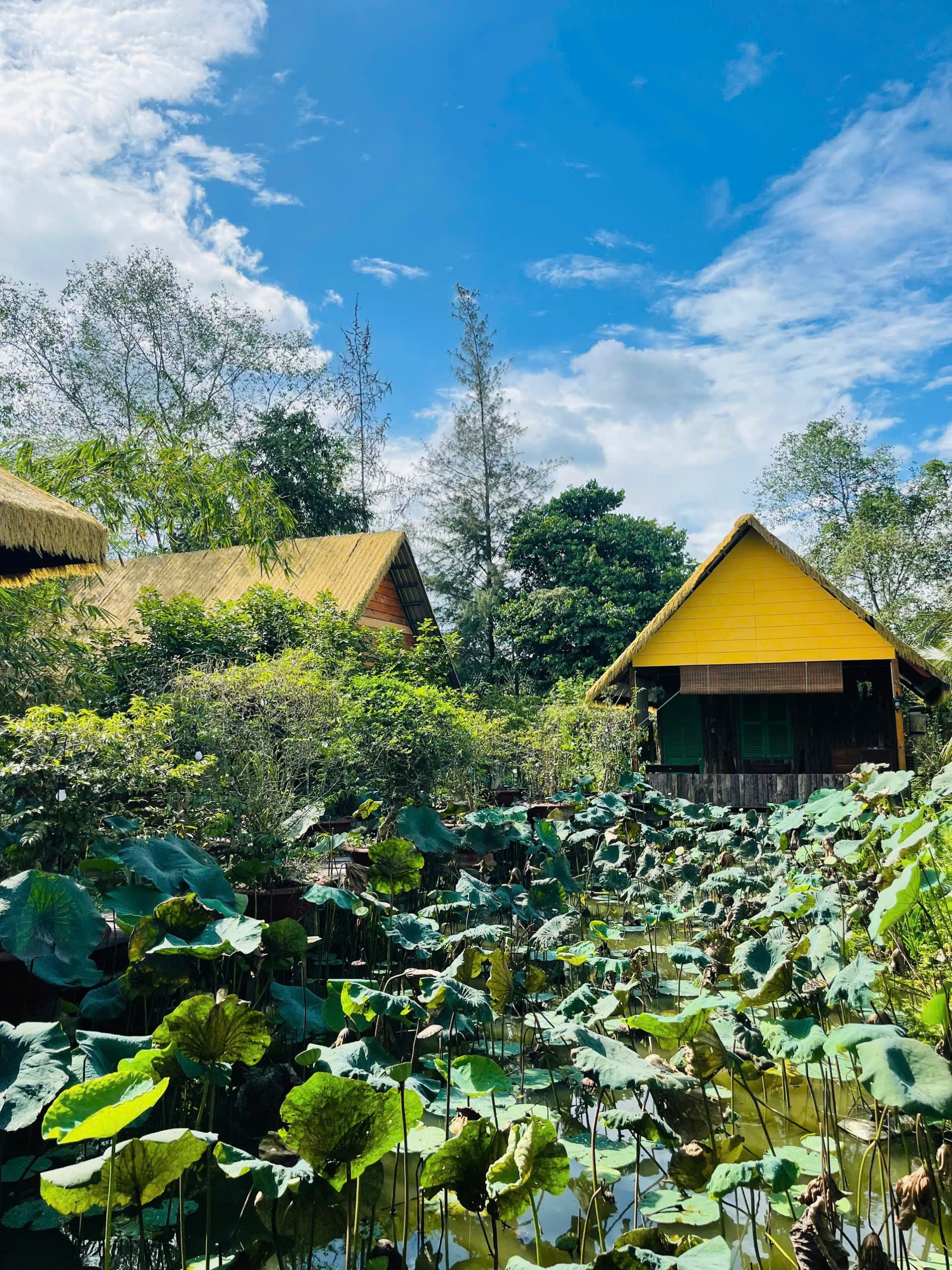 IMG_1764086020690_1764210527423