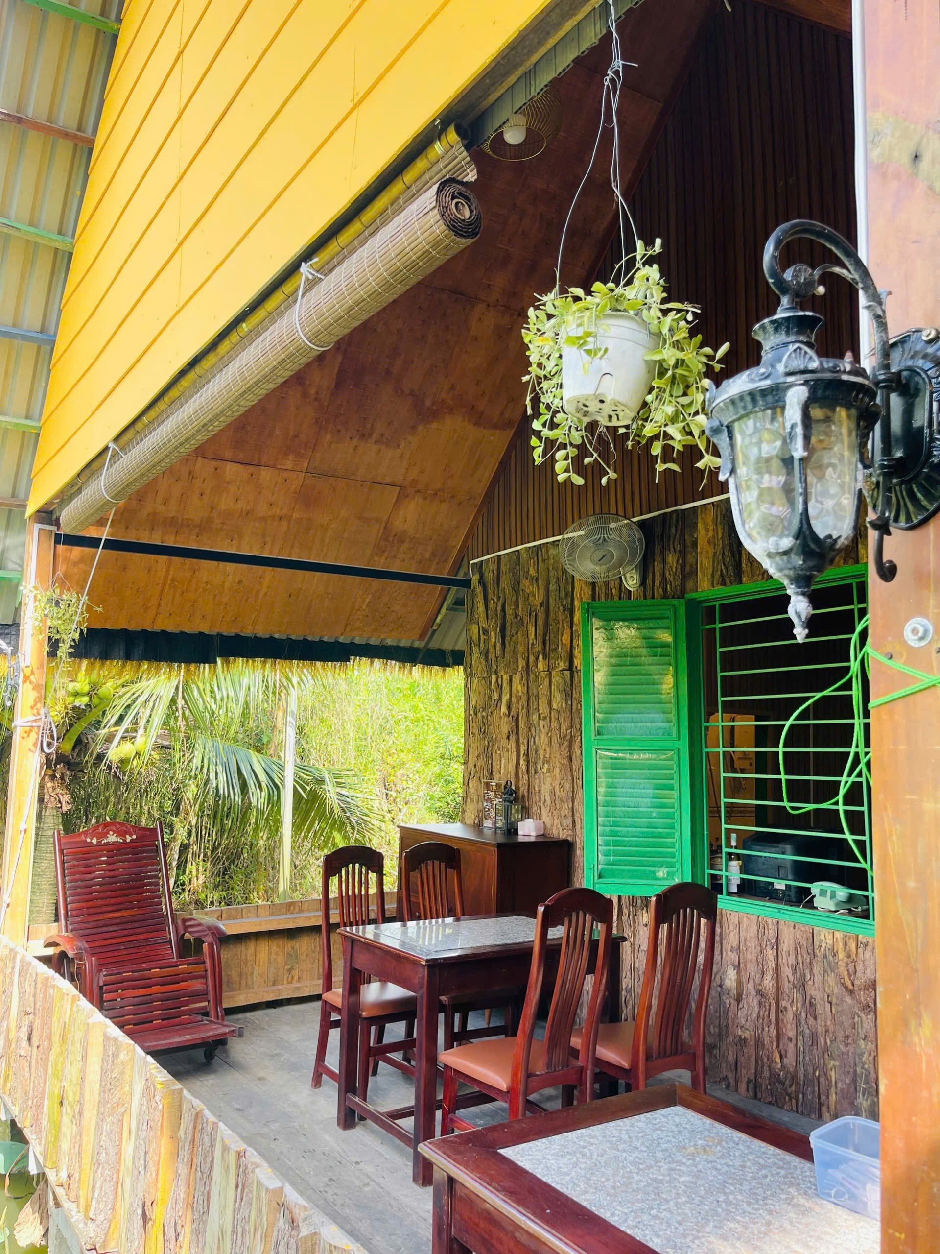 IMG_1764086020818_1764210527833