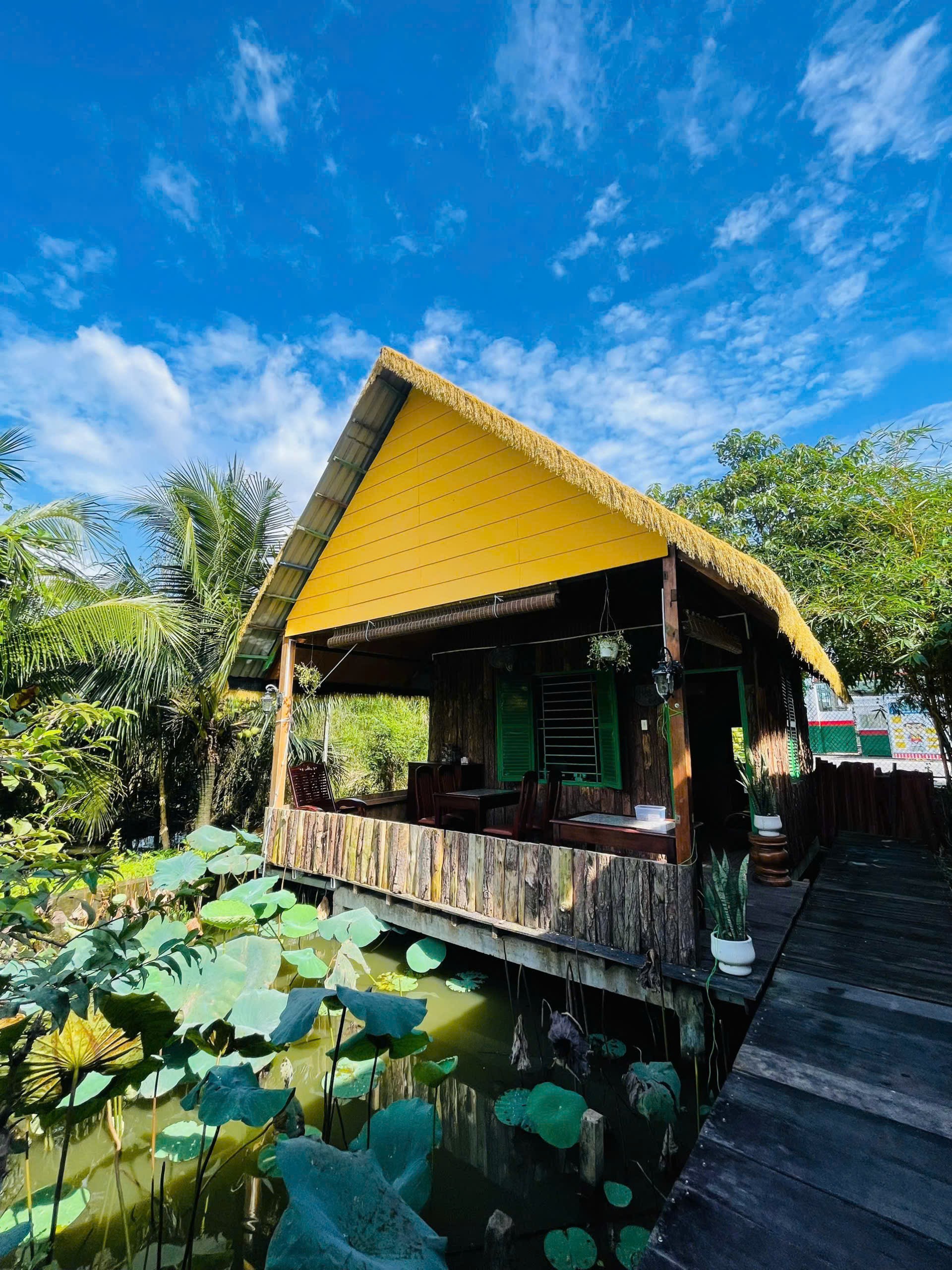 IMG_1764086021081_1764210528783