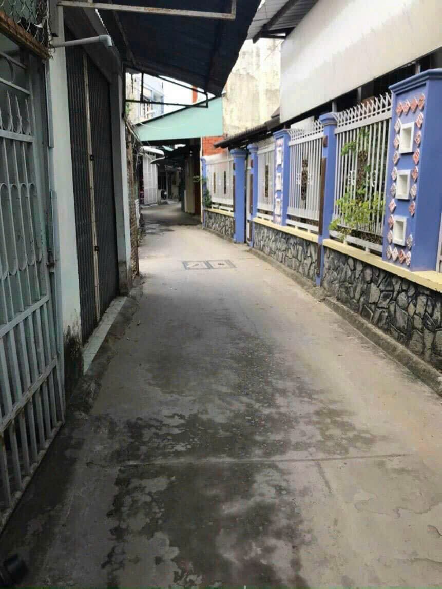 IMG_1764402009453_1764402478032