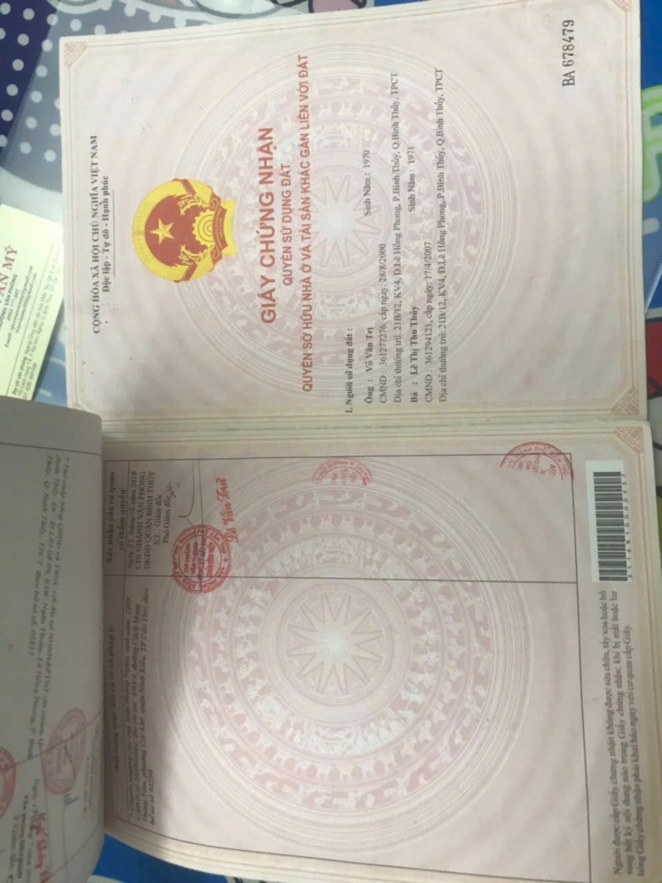 IMG_1764402009558_1764402478501