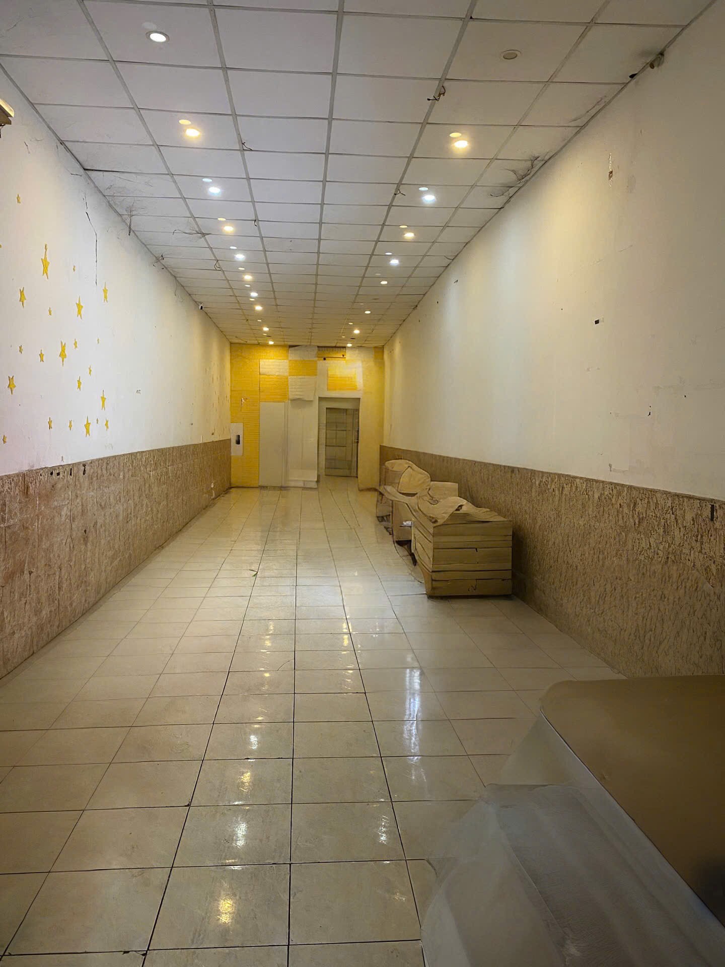 IMG_1764857892738_1765001496028