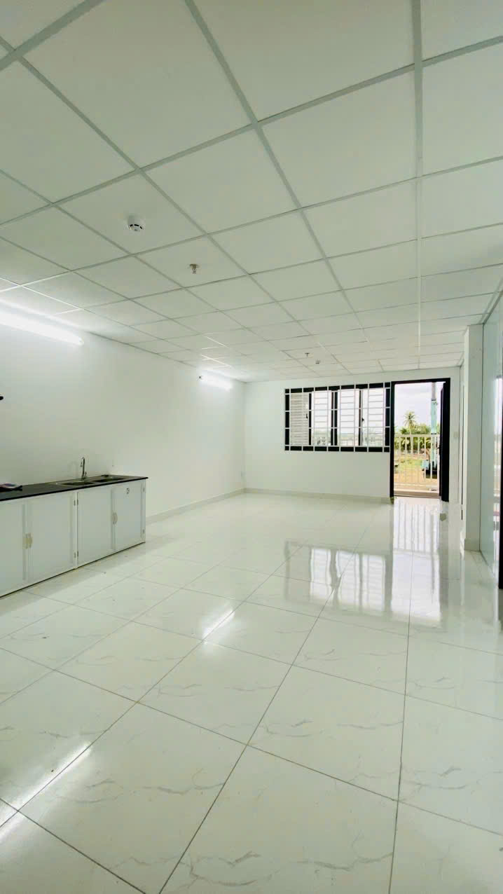 269898725893162687445