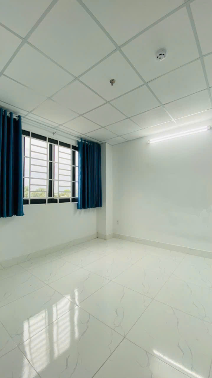 269898725893162687449