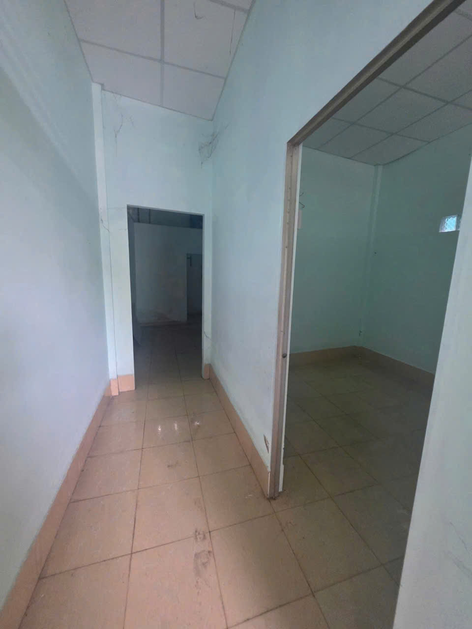 272250184852683139929