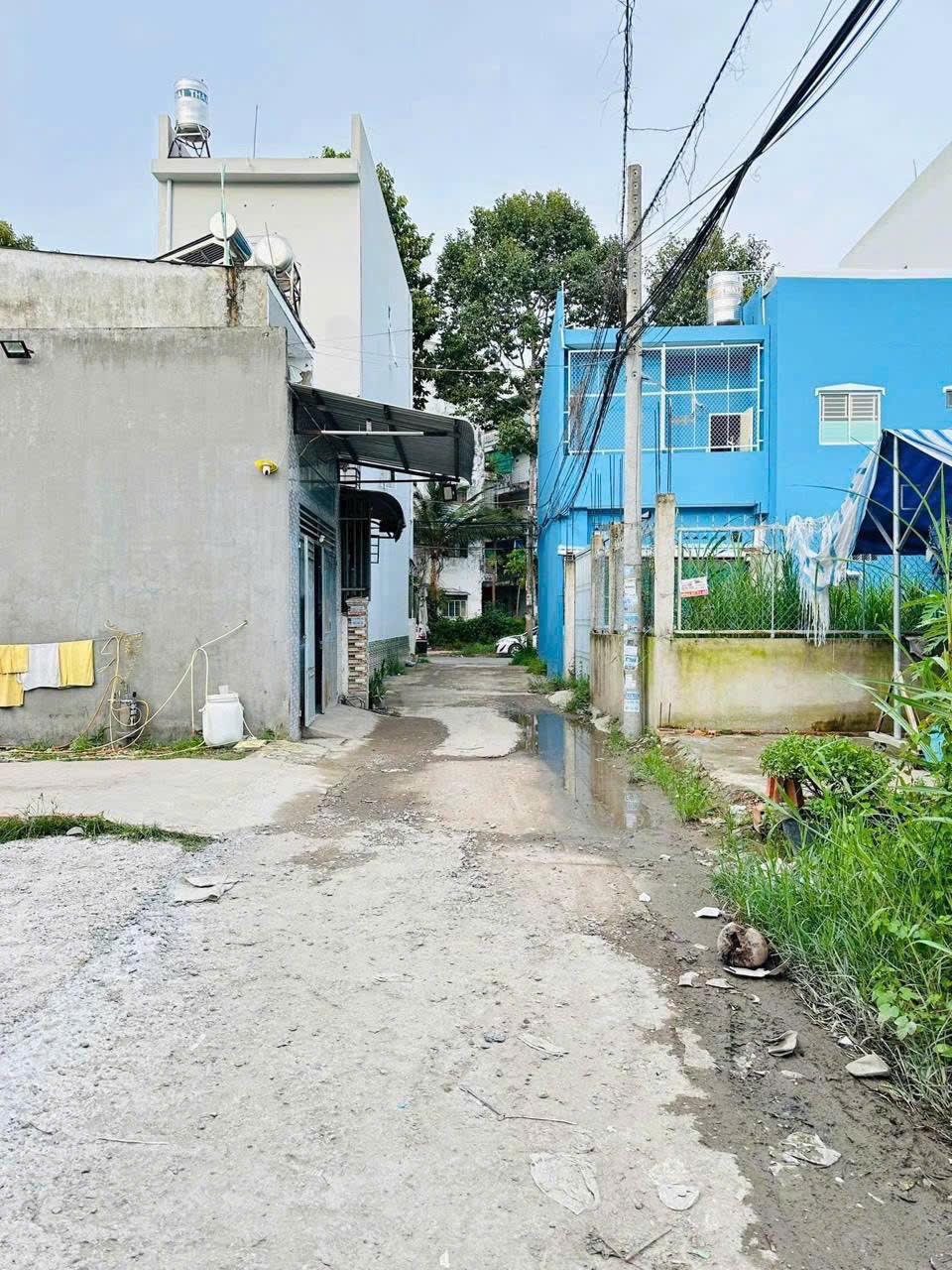 38145515014701558588