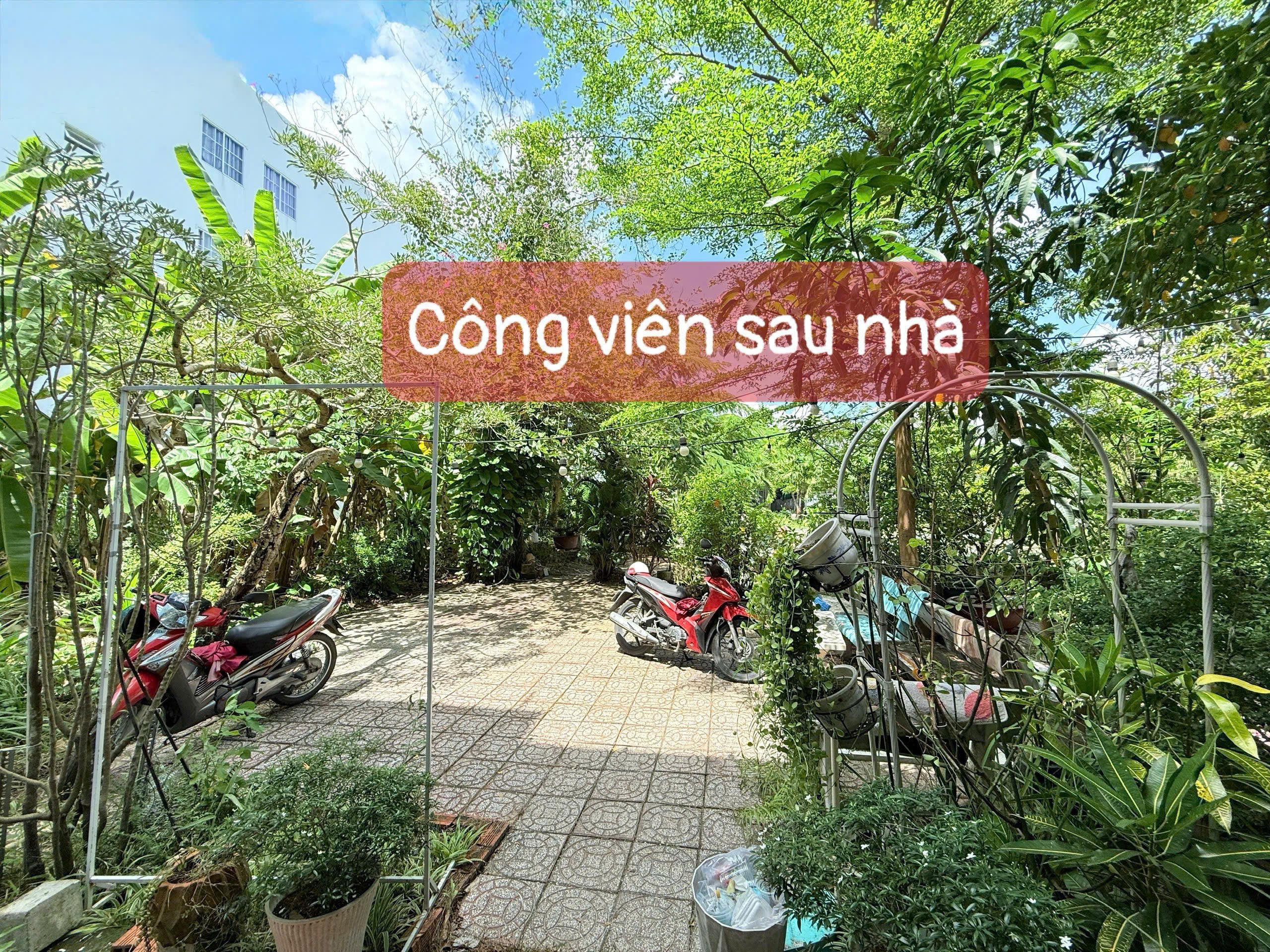 IMG_1761879439345_1761880258014