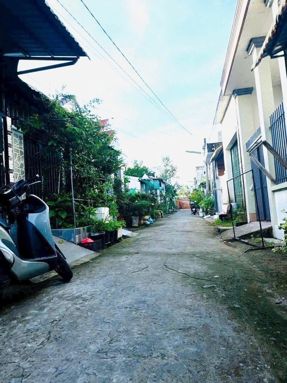 IMG_1761966156009_1761967555570