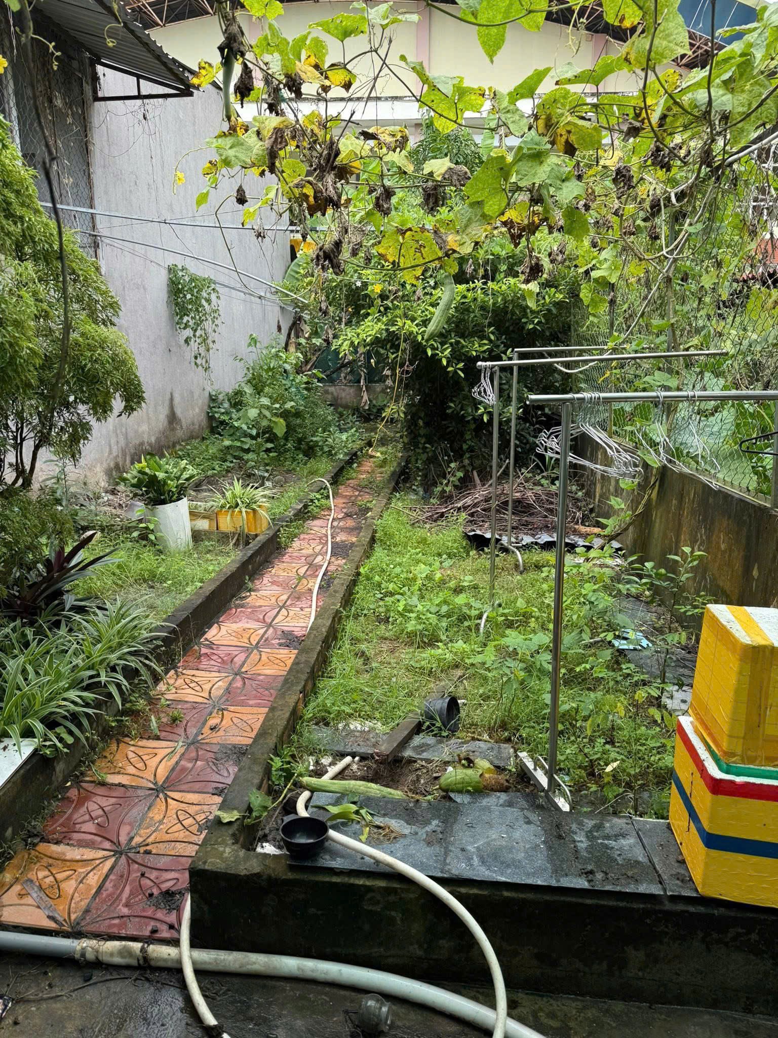 IMG_1762180295972_1762238665392