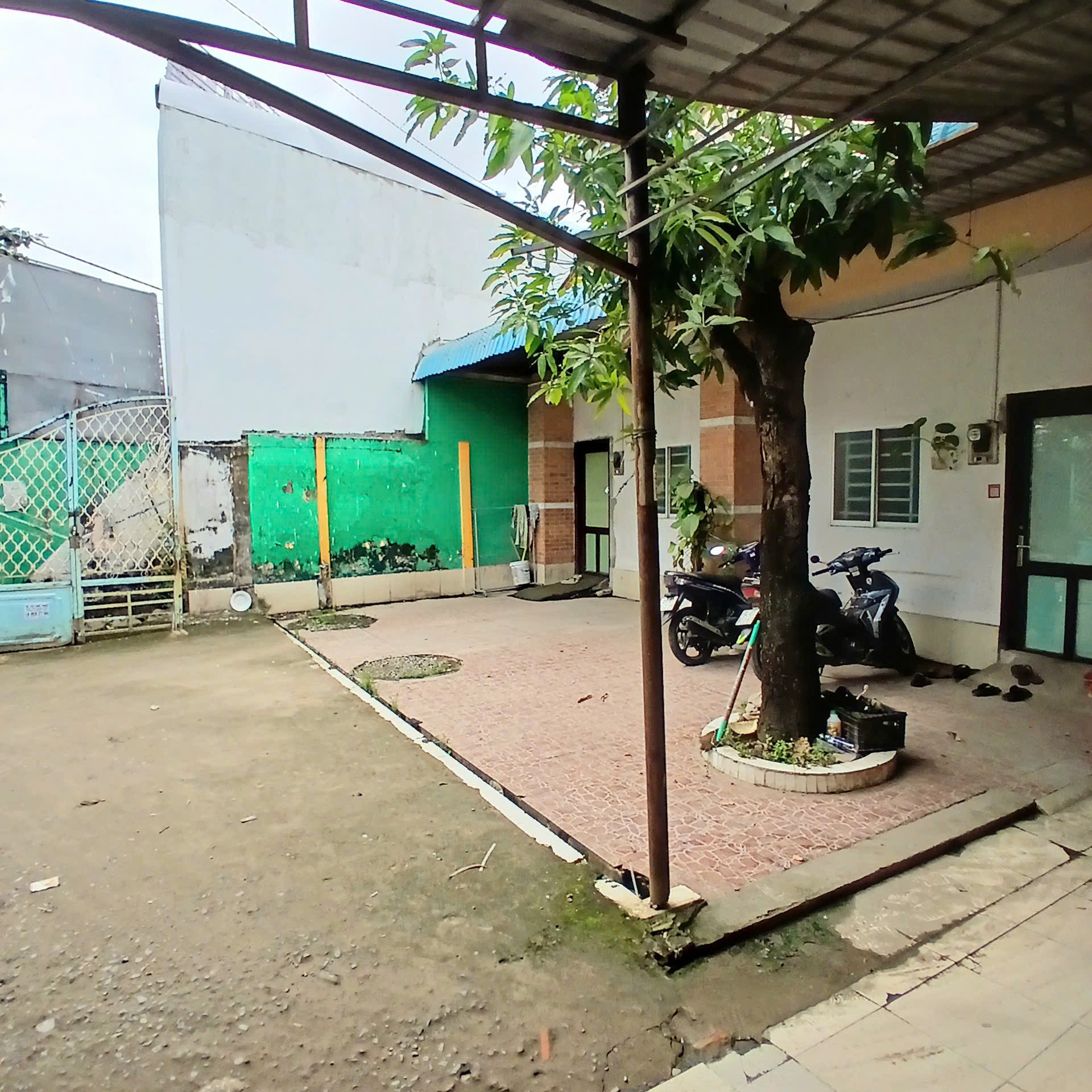 IMG_1762747582378_1762825688617