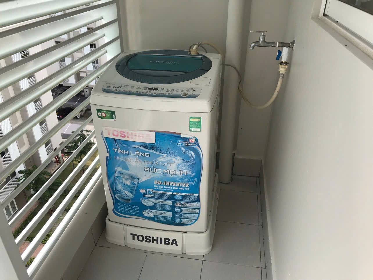 IMG_1762770786186_1762825371870