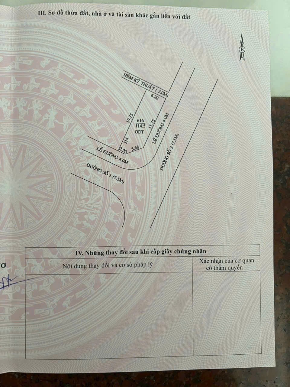 IMG_1763343650994_1763360210173