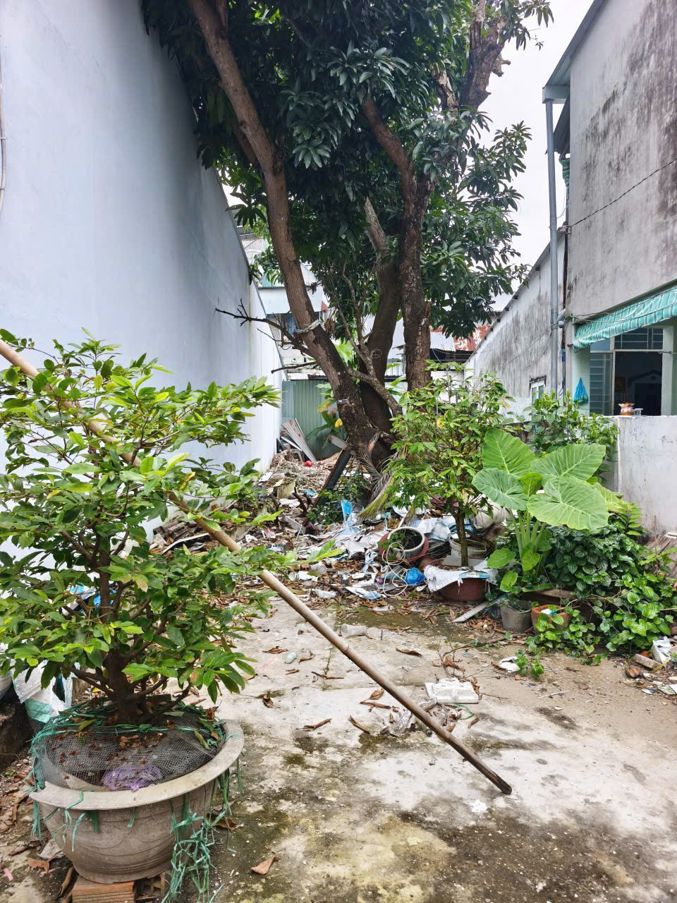 ad3235ced00e5c50051f5